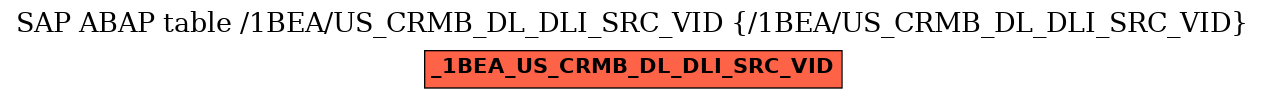 E-R Diagram for table /1BEA/US_CRMB_DL_DLI_SRC_VID (/1BEA/US_CRMB_DL_DLI_SRC_VID)