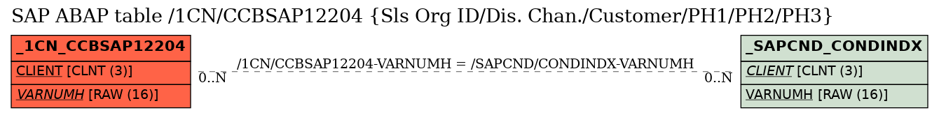 E-R Diagram for table /1CN/CCBSAP12204 (Sls Org ID/Dis. Chan./Customer/PH1/PH2/PH3)