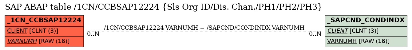 E-R Diagram for table /1CN/CCBSAP12224 (Sls Org ID/Dis. Chan./PH1/PH2/PH3)