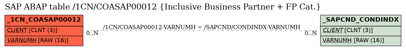 E-R Diagram for table /1CN/COASAP00012 (Inclusive Business Partner + FP Cat.)