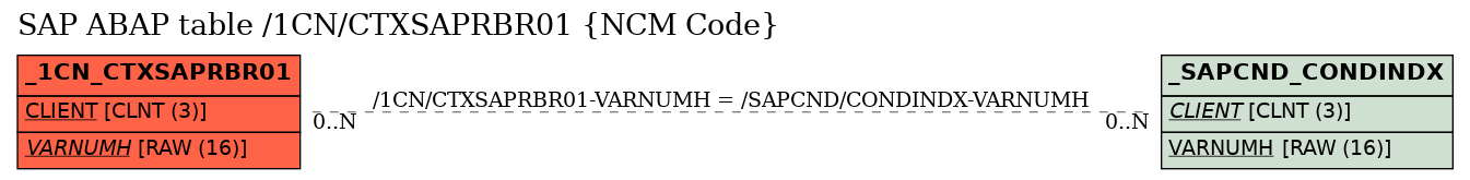 E-R Diagram for table /1CN/CTXSAPRBR01 (NCM Code)
