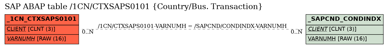 E-R Diagram for table /1CN/CTXSAPS0101 (Country/Bus. Transaction)