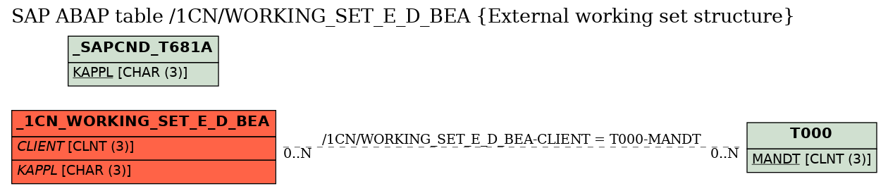 E-R Diagram for table /1CN/WORKING_SET_E_D_BEA (External working set structure)