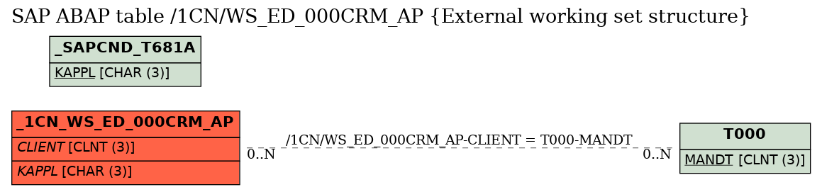 E-R Diagram for table /1CN/WS_ED_000CRM_AP (External working set structure)