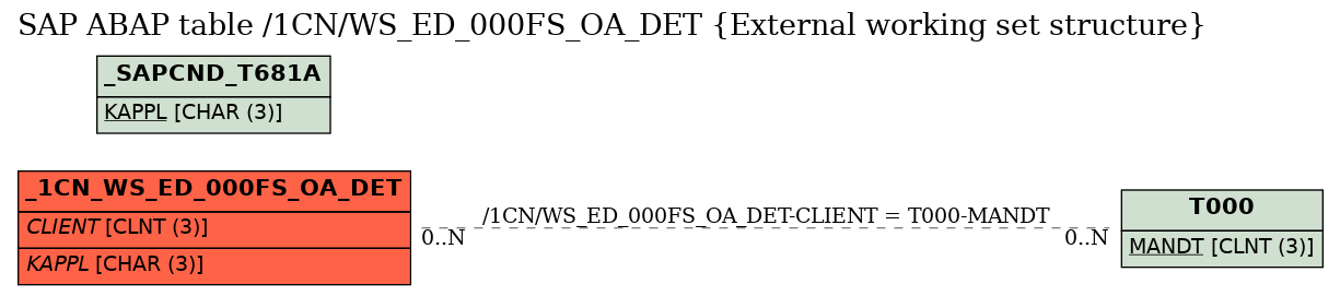 E-R Diagram for table /1CN/WS_ED_000FS_OA_DET (External working set structure)