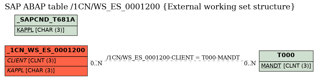 E-R Diagram for table /1CN/WS_ES_0001200 (External working set structure)