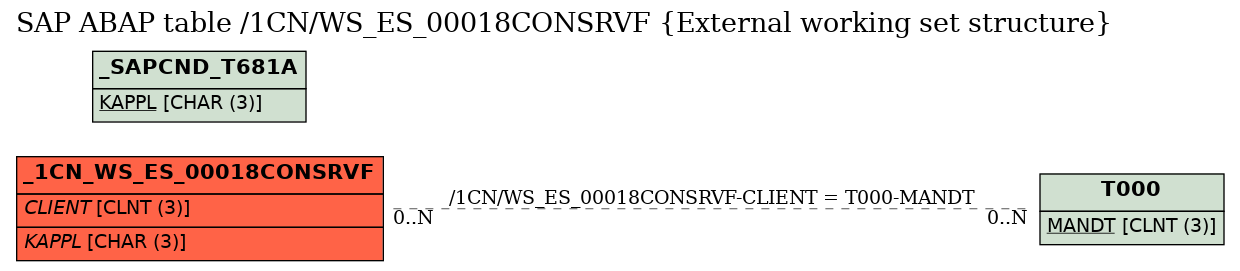 E-R Diagram for table /1CN/WS_ES_00018CONSRVF (External working set structure)