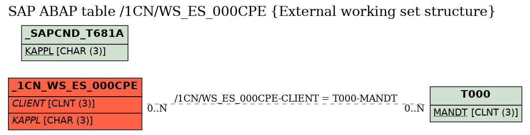 E-R Diagram for table /1CN/WS_ES_000CPE (External working set structure)