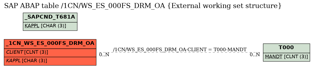 E-R Diagram for table /1CN/WS_ES_000FS_DRM_OA (External working set structure)