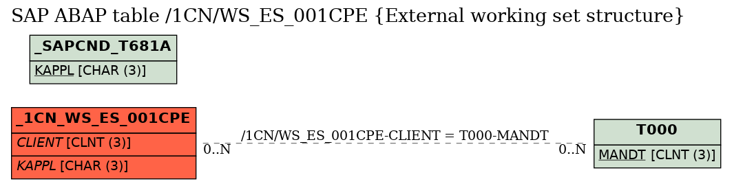 E-R Diagram for table /1CN/WS_ES_001CPE (External working set structure)