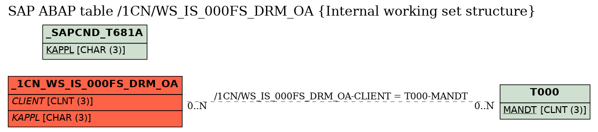 E-R Diagram for table /1CN/WS_IS_000FS_DRM_OA (Internal working set structure)