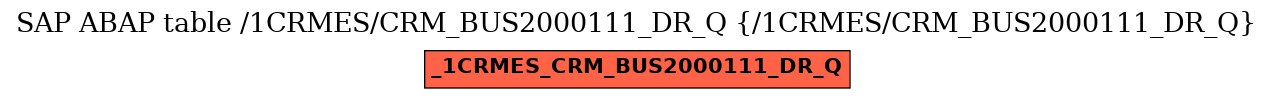 E-R Diagram for table /1CRMES/CRM_BUS2000111_DR_Q (/1CRMES/CRM_BUS2000111_DR_Q)