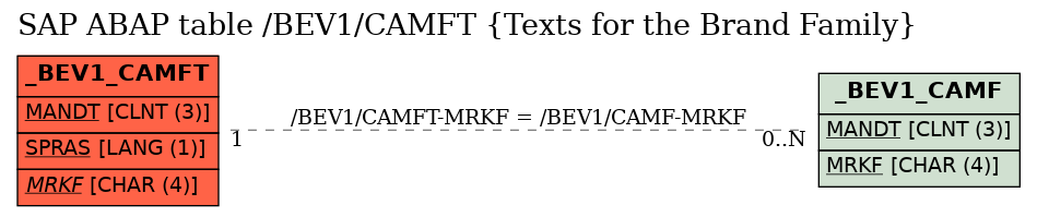 E-R Diagram for table /BEV1/CAMFT (Texts for the Brand Family)