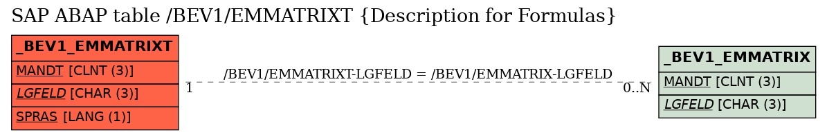 E-R Diagram for table /BEV1/EMMATRIXT (Description for Formulas)