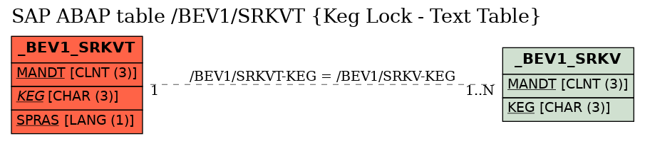 E-R Diagram for table /BEV1/SRKVT (Keg Lock - Text Table)