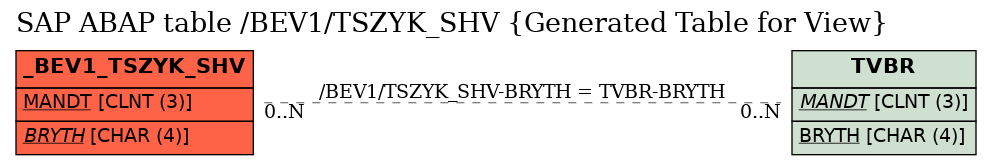 E-R Diagram for table /BEV1/TSZYK_SHV (Generated Table for View)