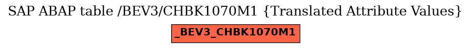 E-R Diagram for table /BEV3/CHBK1070M1 (Translated Attribute Values)