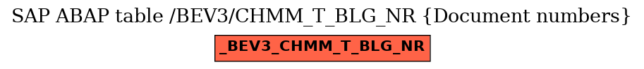 E-R Diagram for table /BEV3/CHMM_T_BLG_NR (Document numbers)