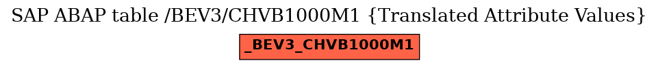 E-R Diagram for table /BEV3/CHVB1000M1 (Translated Attribute Values)