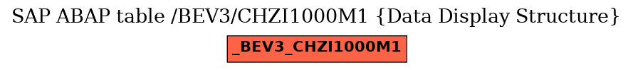 E-R Diagram for table /BEV3/CHZI1000M1 (Data Display Structure)