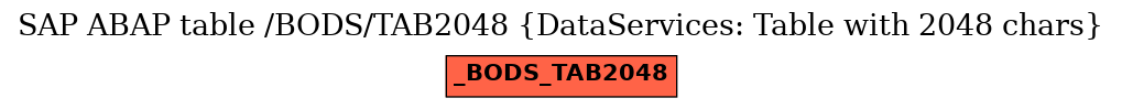 E-R Diagram for table /BODS/TAB2048 (DataServices: Table with 2048 chars)