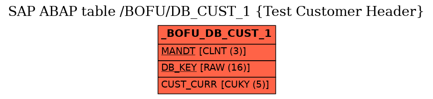 E-R Diagram for table /BOFU/DB_CUST_1 (Test Customer Header)