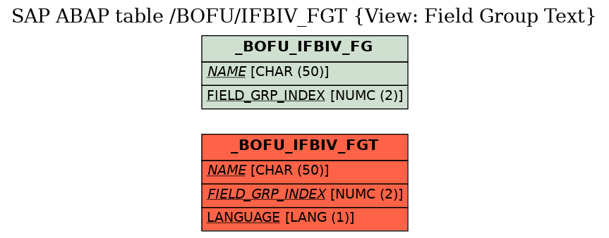 E-R Diagram for table /BOFU/IFBIV_FGT (View: Field Group Text)