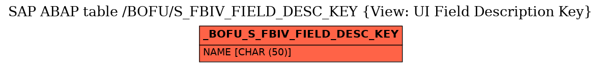 E-R Diagram for table /BOFU/S_FBIV_FIELD_DESC_KEY (View: UI Field Description Key)