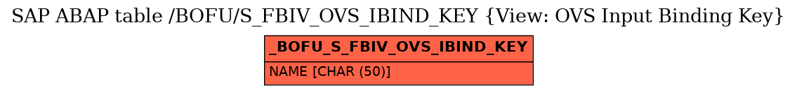 E-R Diagram for table /BOFU/S_FBIV_OVS_IBIND_KEY (View: OVS Input Binding Key)