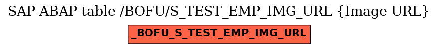 E-R Diagram for table /BOFU/S_TEST_EMP_IMG_URL (Image URL)