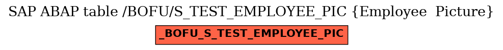 E-R Diagram for table /BOFU/S_TEST_EMPLOYEE_PIC (Employee  Picture)