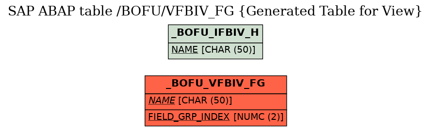 E-R Diagram for table /BOFU/VFBIV_FG (Generated Table for View)