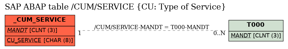 E-R Diagram for table /CUM/SERVICE (CU: Type of Service)