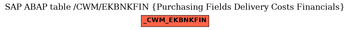 E-R Diagram for table /CWM/EKBNKFIN (Purchasing Fields Delivery Costs Financials)