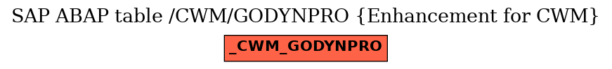 E-R Diagram for table /CWM/GODYNPRO (Enhancement for CWM)