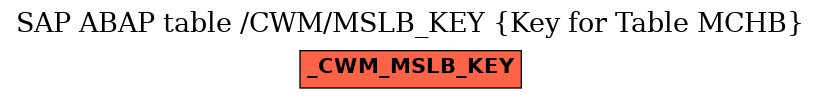 E-R Diagram for table /CWM/MSLB_KEY (Key for Table MCHB)