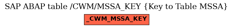 E-R Diagram for table /CWM/MSSA_KEY (Key to Table MSSA)