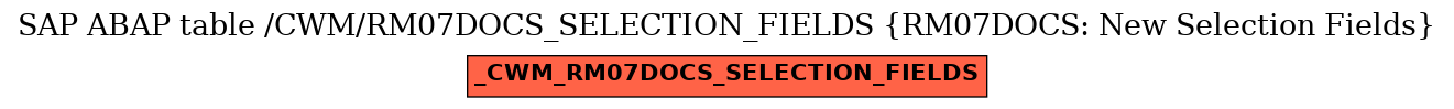 E-R Diagram for table /CWM/RM07DOCS_SELECTION_FIELDS (RM07DOCS: New Selection Fields)