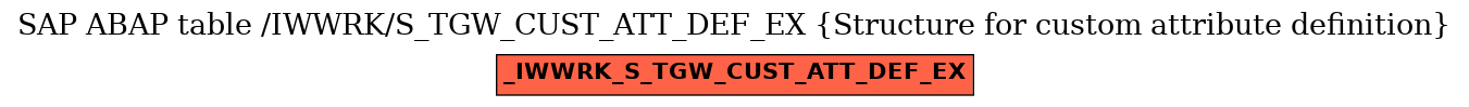 E-R Diagram for table /IWWRK/S_TGW_CUST_ATT_DEF_EX (Structure for custom attribute definition)