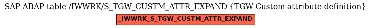 E-R Diagram for table /IWWRK/S_TGW_CUSTM_ATTR_EXPAND (TGW Custom attribute definition)