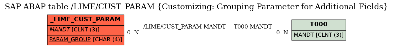 E-R Diagram for table /LIME/CUST_PARAM (Customizing: Grouping Parameter for Additional Fields)