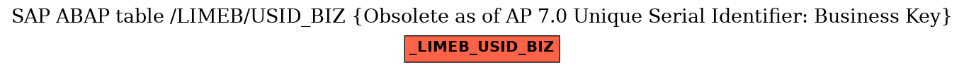 E-R Diagram for table /LIMEB/USID_BIZ (Obsolete as of AP 7.0 Unique Serial Identifier: Business Key)