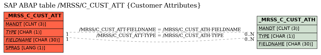 E-R Diagram for table /MRSS/C_CUST_ATT (Customer Attributes)