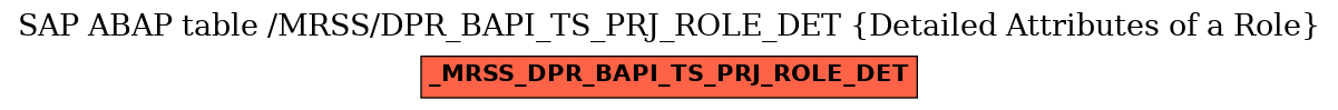 E-R Diagram for table /MRSS/DPR_BAPI_TS_PRJ_ROLE_DET (Detailed Attributes of a Role)