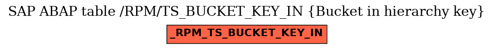 E-R Diagram for table /RPM/TS_BUCKET_KEY_IN (Bucket in hierarchy key)