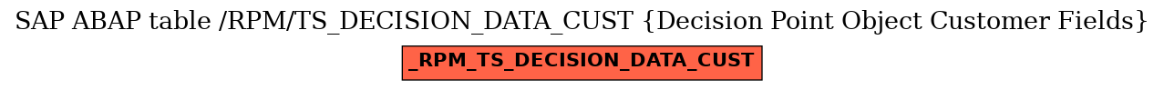 E-R Diagram for table /RPM/TS_DECISION_DATA_CUST (Decision Point Object Customer Fields)