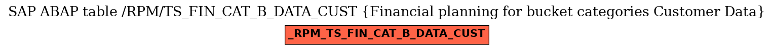 E-R Diagram for table /RPM/TS_FIN_CAT_B_DATA_CUST (Financial planning for bucket categories Customer Data)