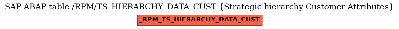 E-R Diagram for table /RPM/TS_HIERARCHY_DATA_CUST (Strategic hierarchy Customer Attributes)