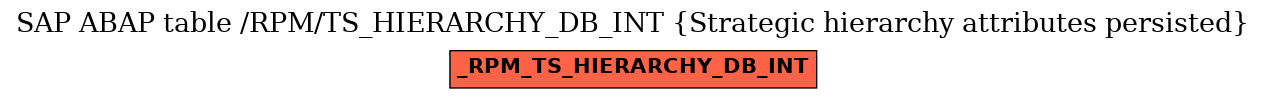 E-R Diagram for table /RPM/TS_HIERARCHY_DB_INT (Strategic hierarchy attributes persisted)