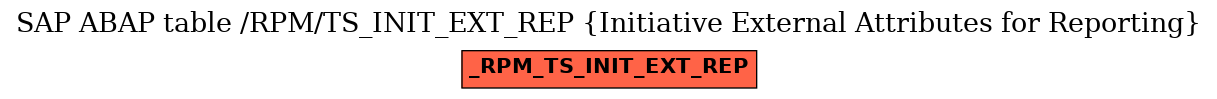 E-R Diagram for table /RPM/TS_INIT_EXT_REP (Initiative External Attributes for Reporting)